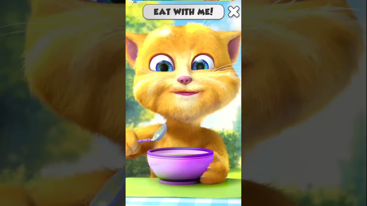 Talking Ginger 2 Funniest Moments! 😂🐱