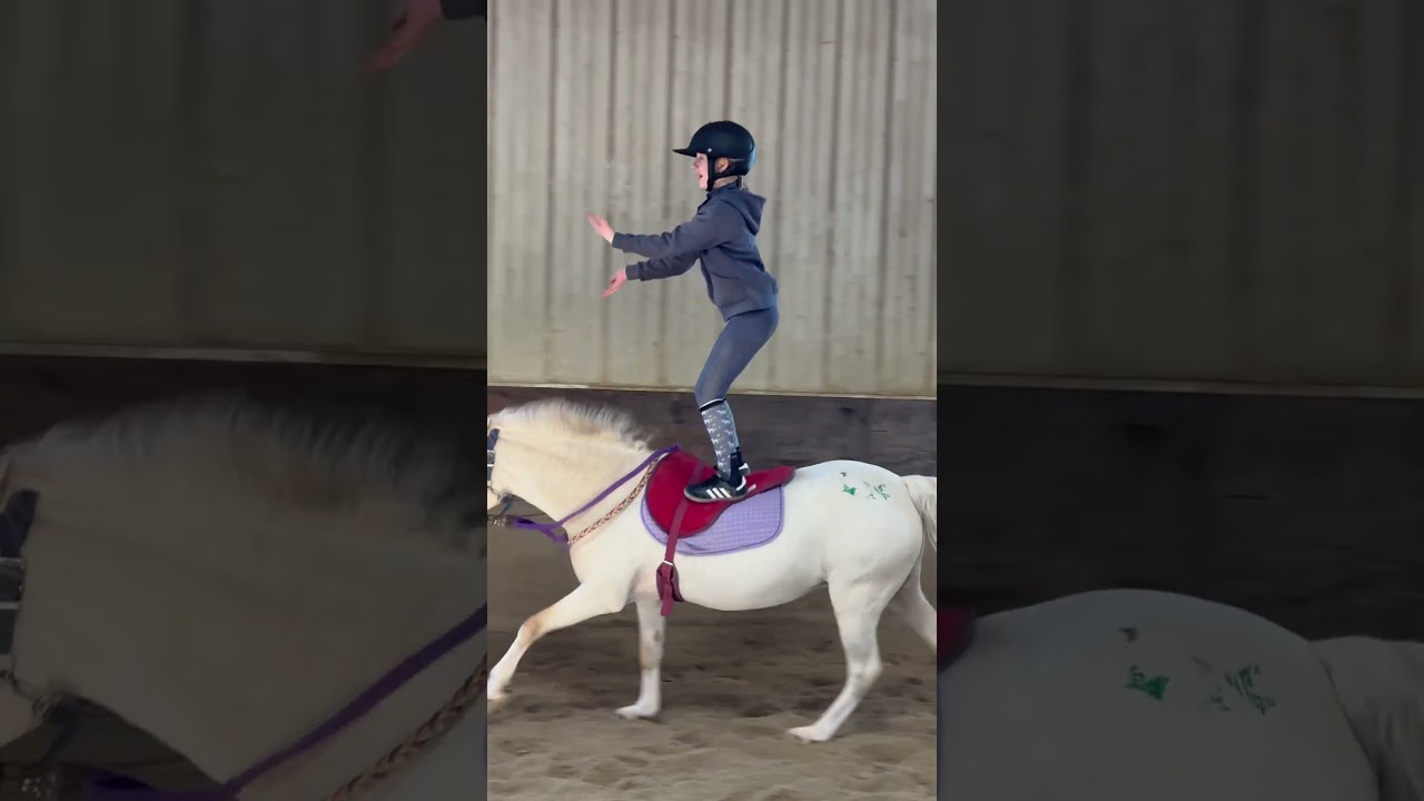 A little fun with the Macarena lol with an Emma twist. Who&rsquo;s in ? #horse #equestrian #macarenadance