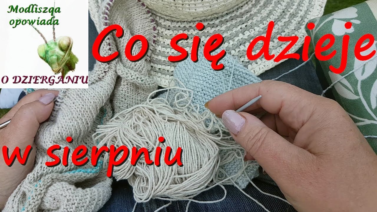 Co nowego w sierpniu się dzieje?