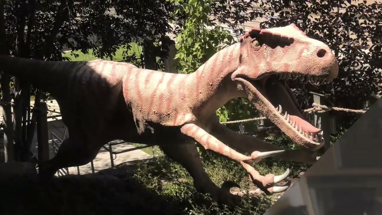 Day 28 July 28, 2023 Utah Natural Museum & Fantasy Canyon in Vernal, Utah