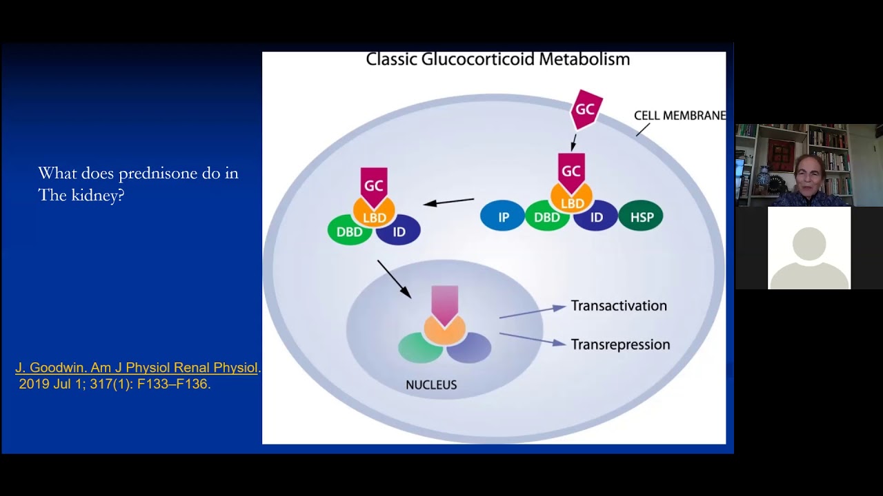 NephCure U: Coping with Prednisone