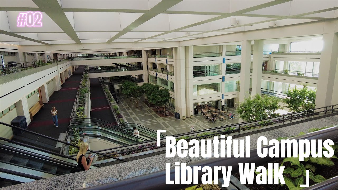 Library walk -- William H. Hannon Library in Loyola Marymount University (LMU) LA campus cityview 4K
