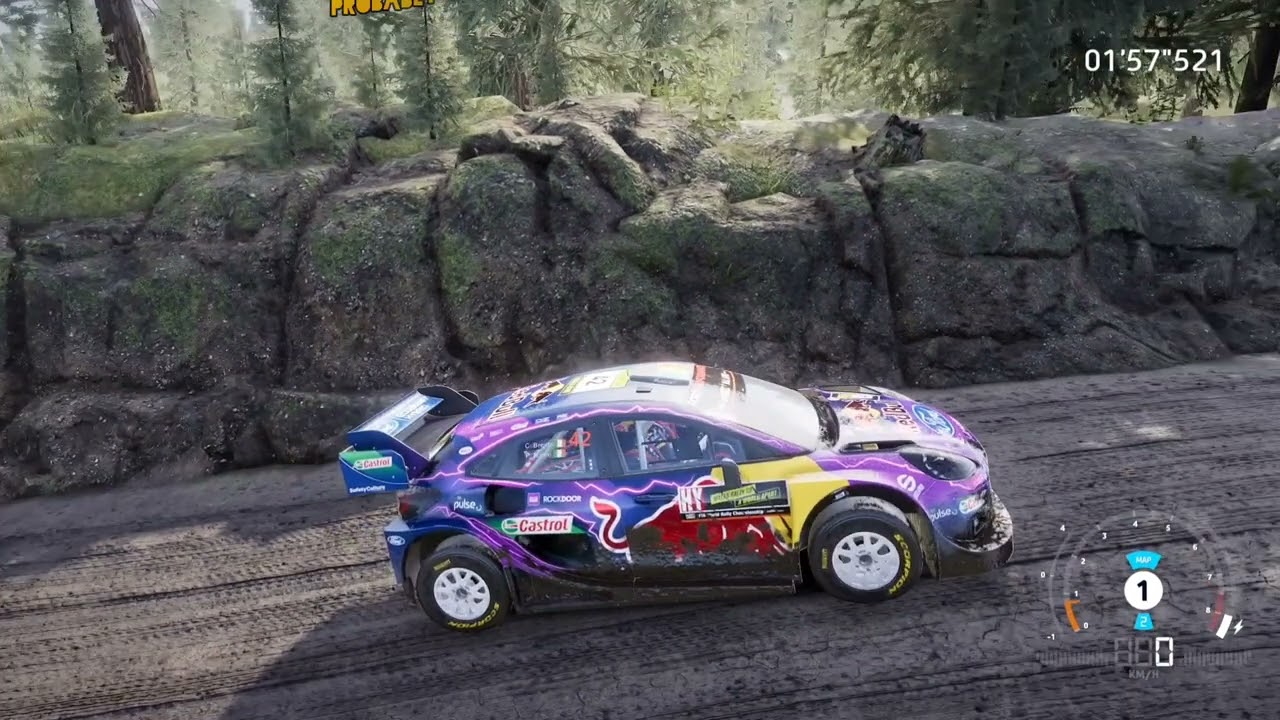 WRC Generations or Dirt Rally 2.0