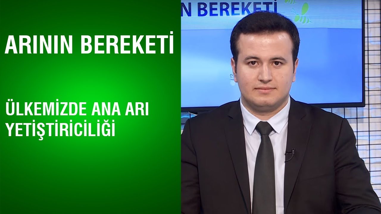 Arının Bereketi | Ülkemizde Ana Arı Yetiştiriciliği | 2. Bölüm