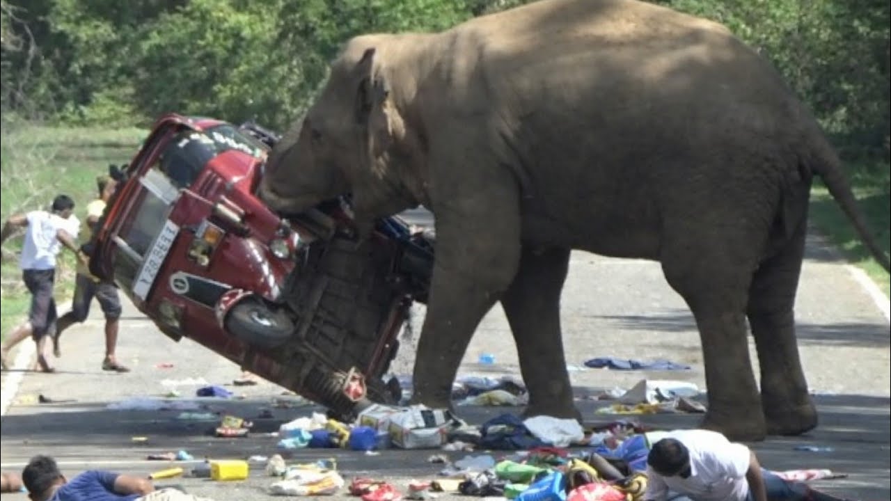 A vehicle that was subjected to a severe attack😱