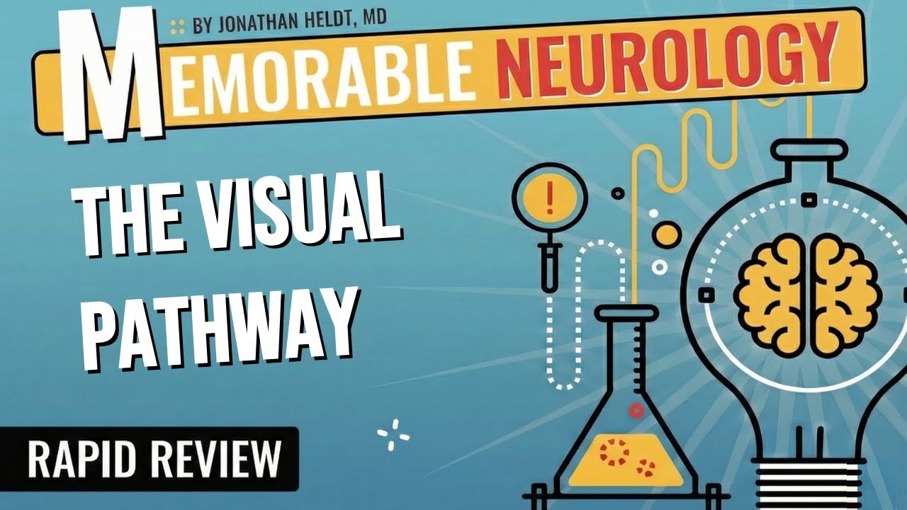 Visual Pathway Mnemonics (Memorable Neurology Lecture 10)