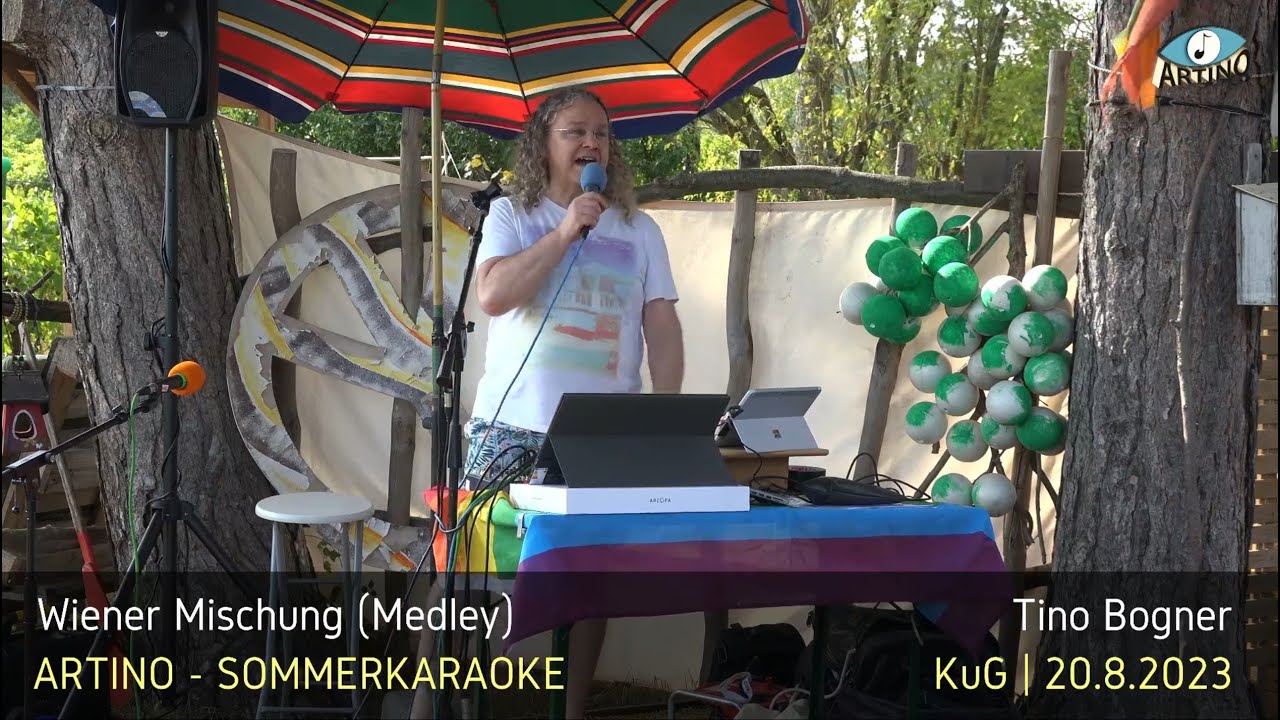 Wiener Mischung (Peter Alexander Medley) - Tino (Unterhaltungsmusik & Karaoke) - Wienerlieder