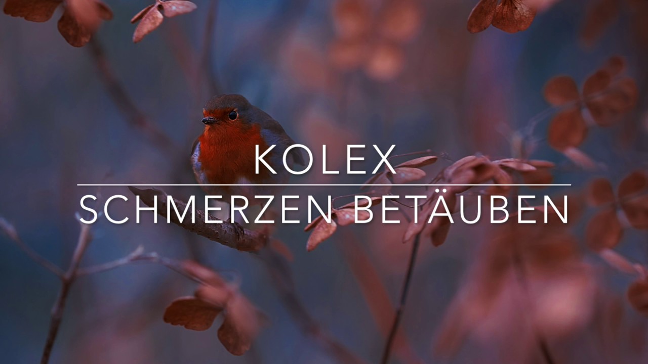 kolex -  Schmerzen betäuben (prod. by LIMIT BEATS)