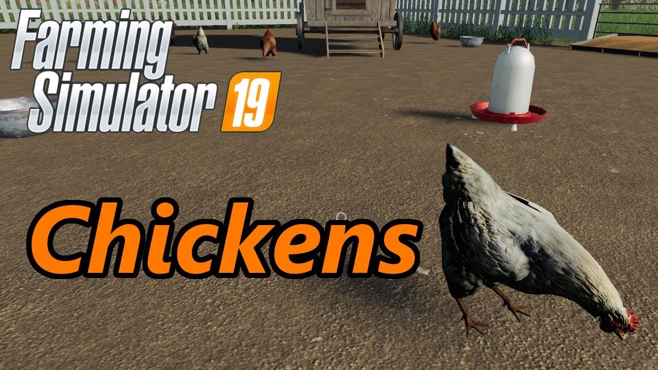 Обучающее видео Farming Simulator 19 | Куры