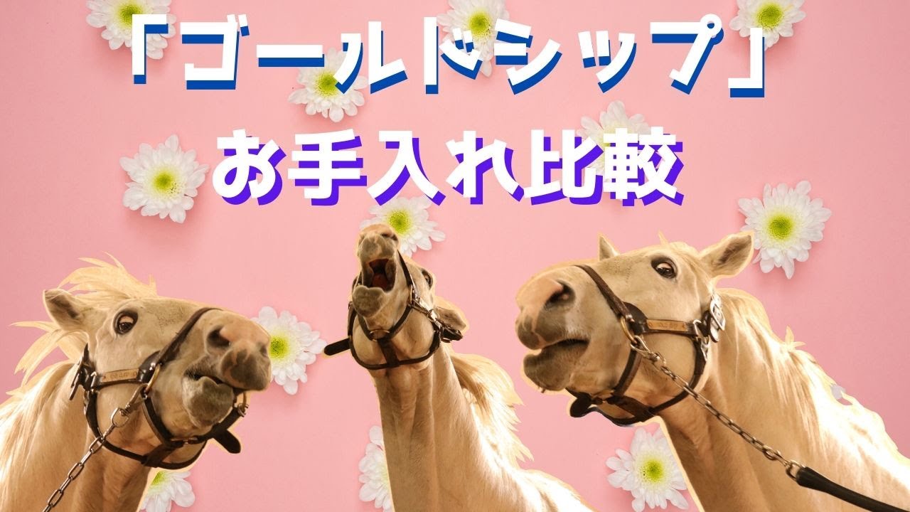 【ゴールドシップのお手入れ比較】ジョーカプチーノとグラスワンダーも登場するよ