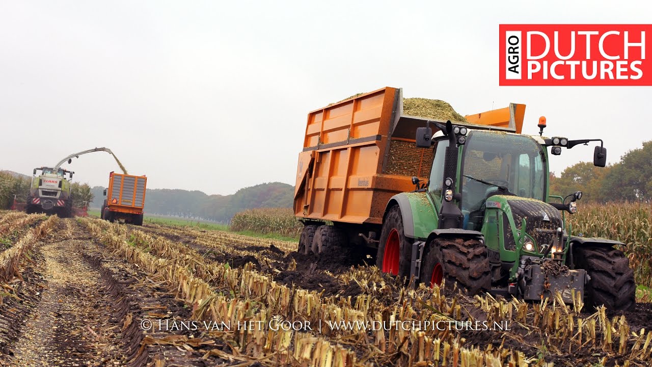 Fendt vast in de modder | Fendt stuck in the mud | Mais hakselen | Maize harvest