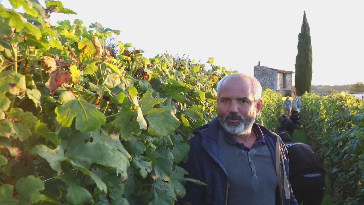 Julien Pilon - Vigneron à Chavanay