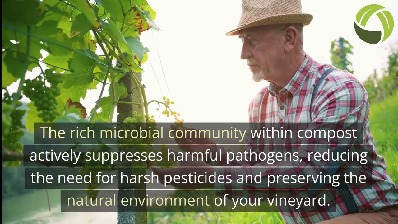 Compost for Vineyards