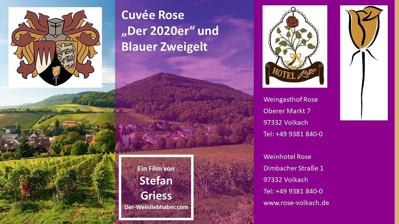 Blauer Zweigelt vom Weingut - Hotel - Gastwirtschaft Rose Volkach