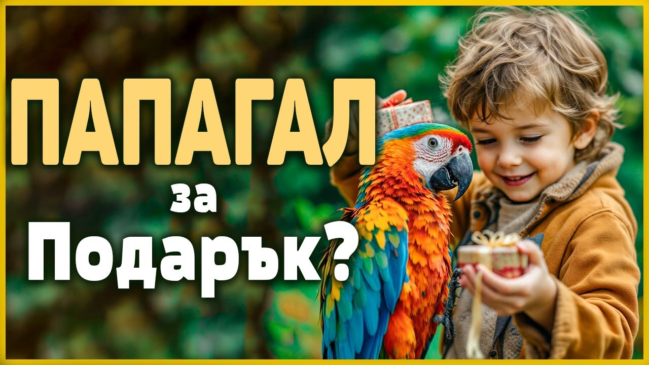 Правилно ли е да се подари ПАПАГАЛ?
