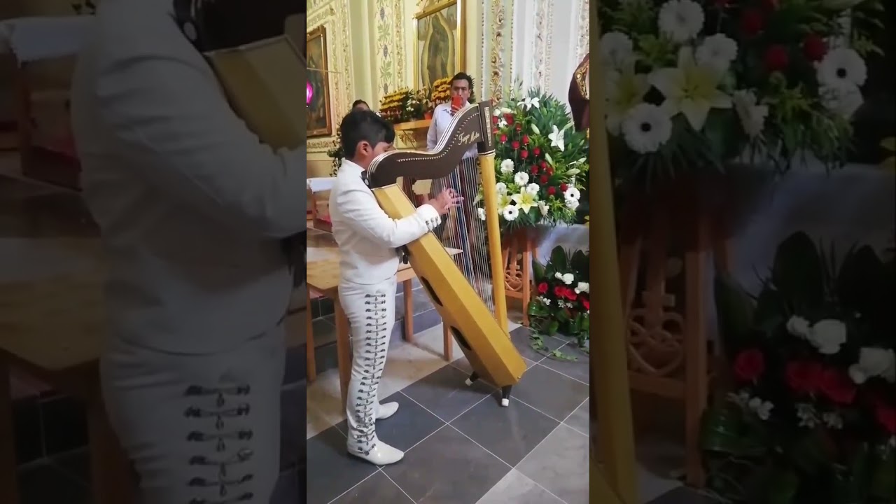 niño tocando arpa
