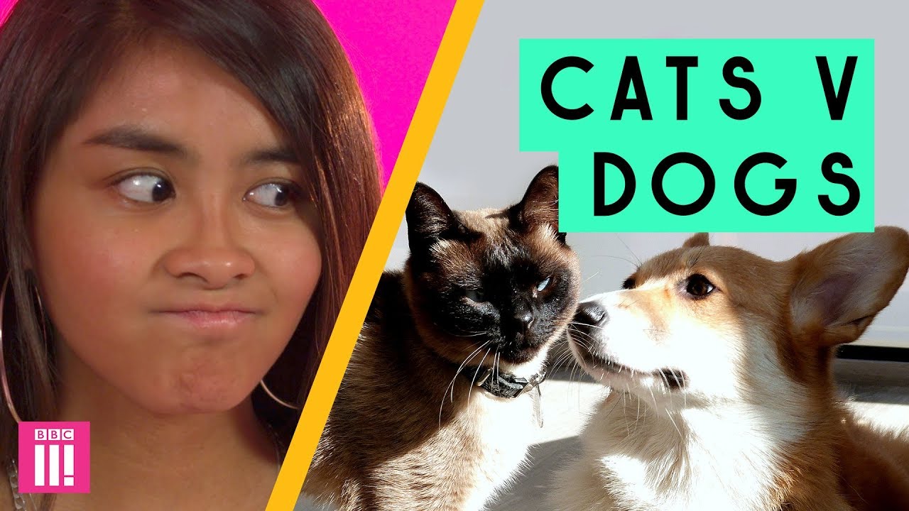 Cat People Vs Dog People: Who Wins?