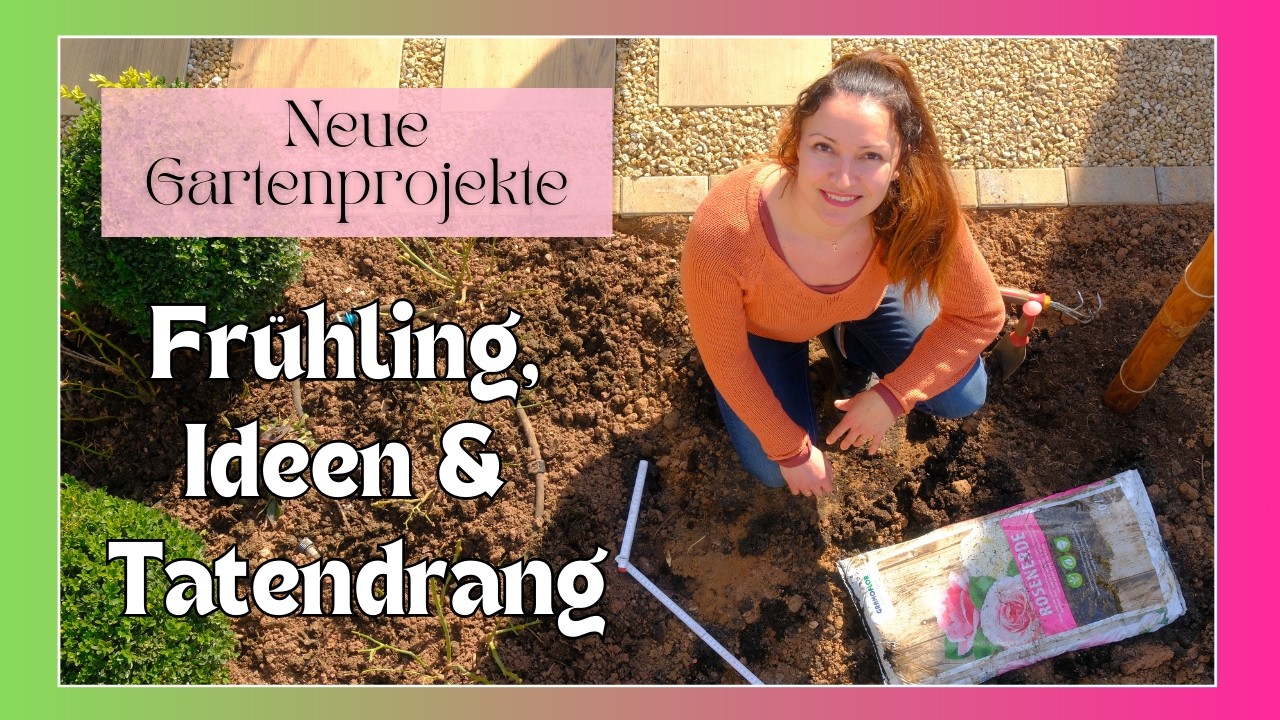 Rosenhochstämme richtig pflanzen | Evelyns neuer Bestimmungsort