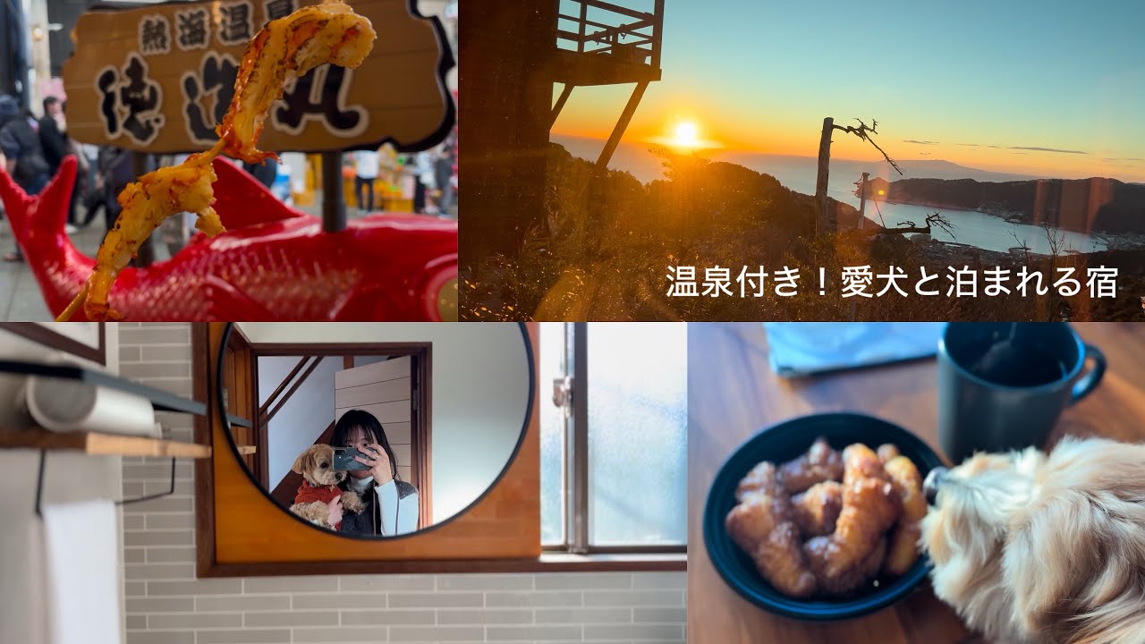 愛犬と熱海旅行：熱海の絶景＆グルメを紹介！／1泊2日の弾丸温泉旅行♨️