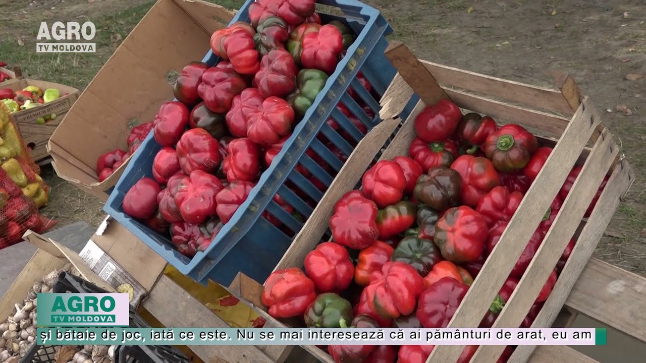 Comercianții stradali din Edineț au ajuns la limita răbdării – AGRO TV News
