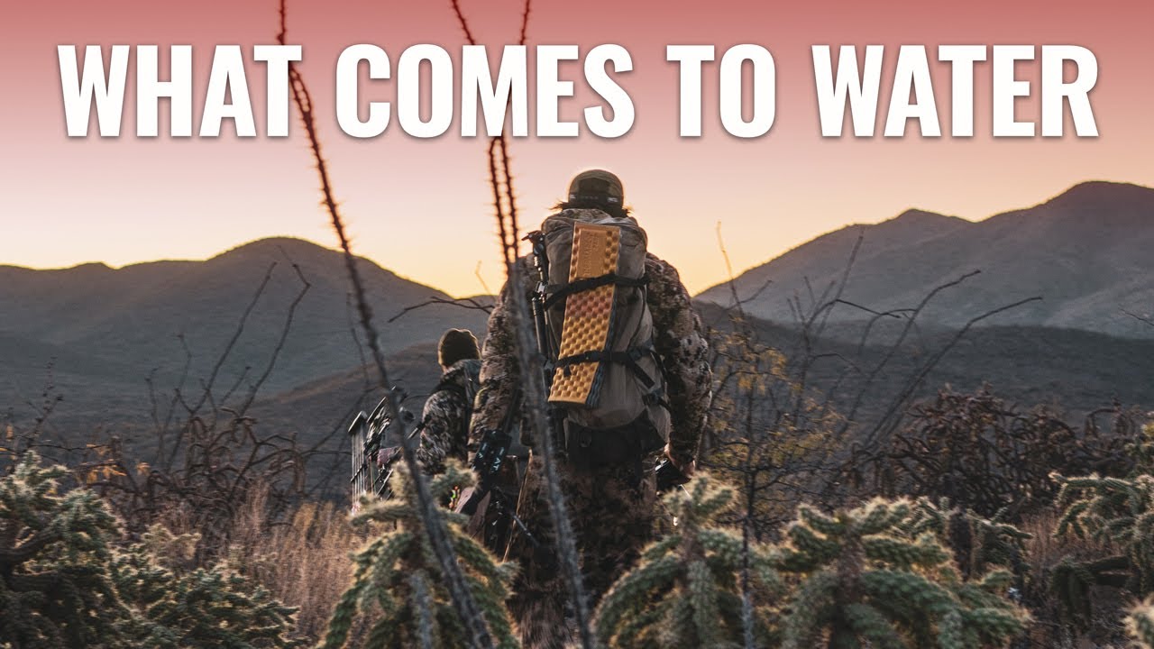 WHAT COMES TO WATER - An Arizona OTC Archery Coues Deer Hunt