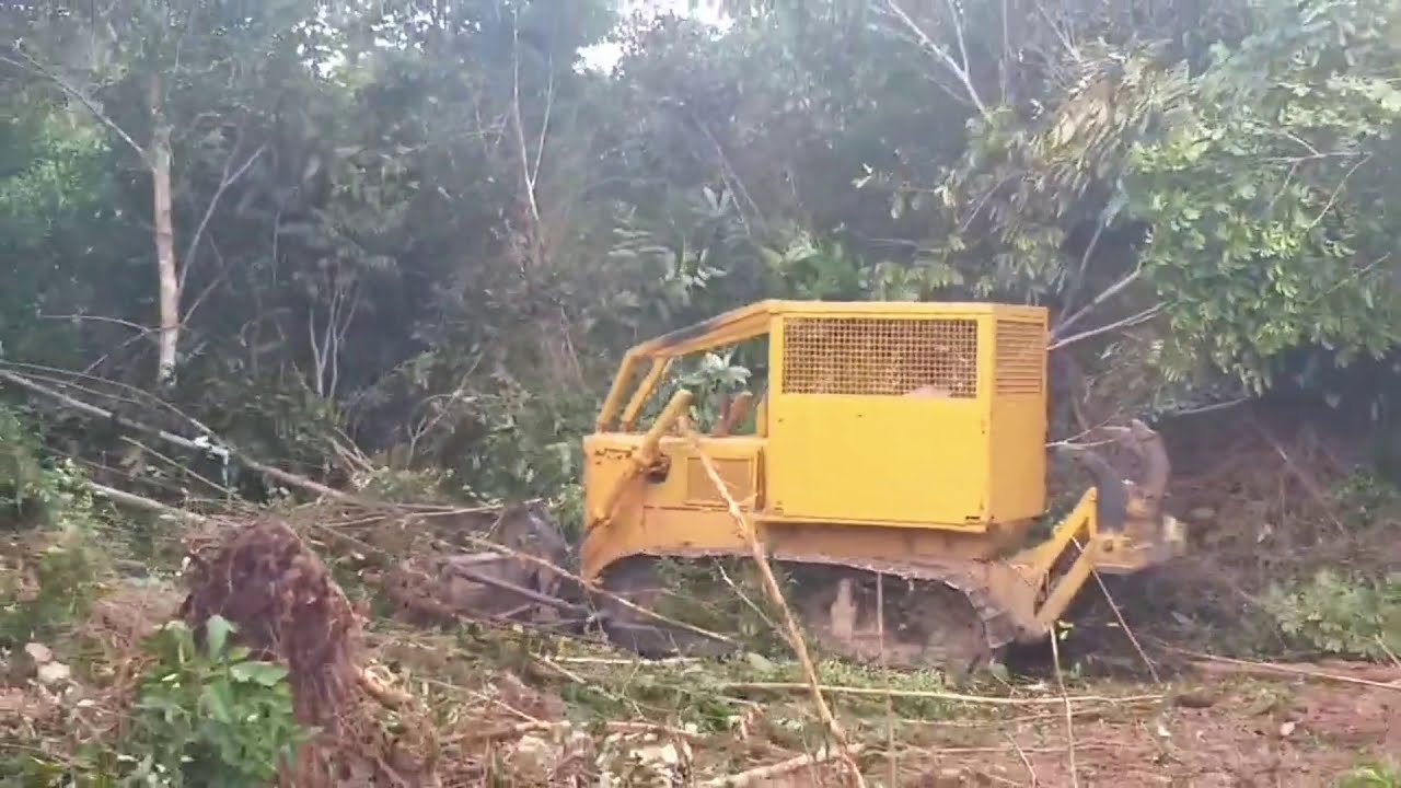 Trator de esteira komatsu D50 quebrando juquira