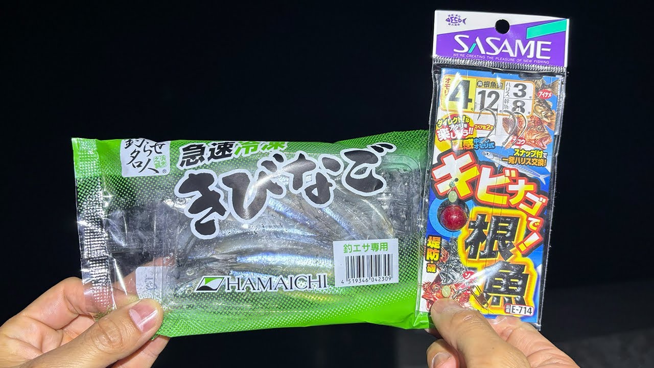 キビナゴ専用の仕掛けを使って夜の海に落としてみると・・・