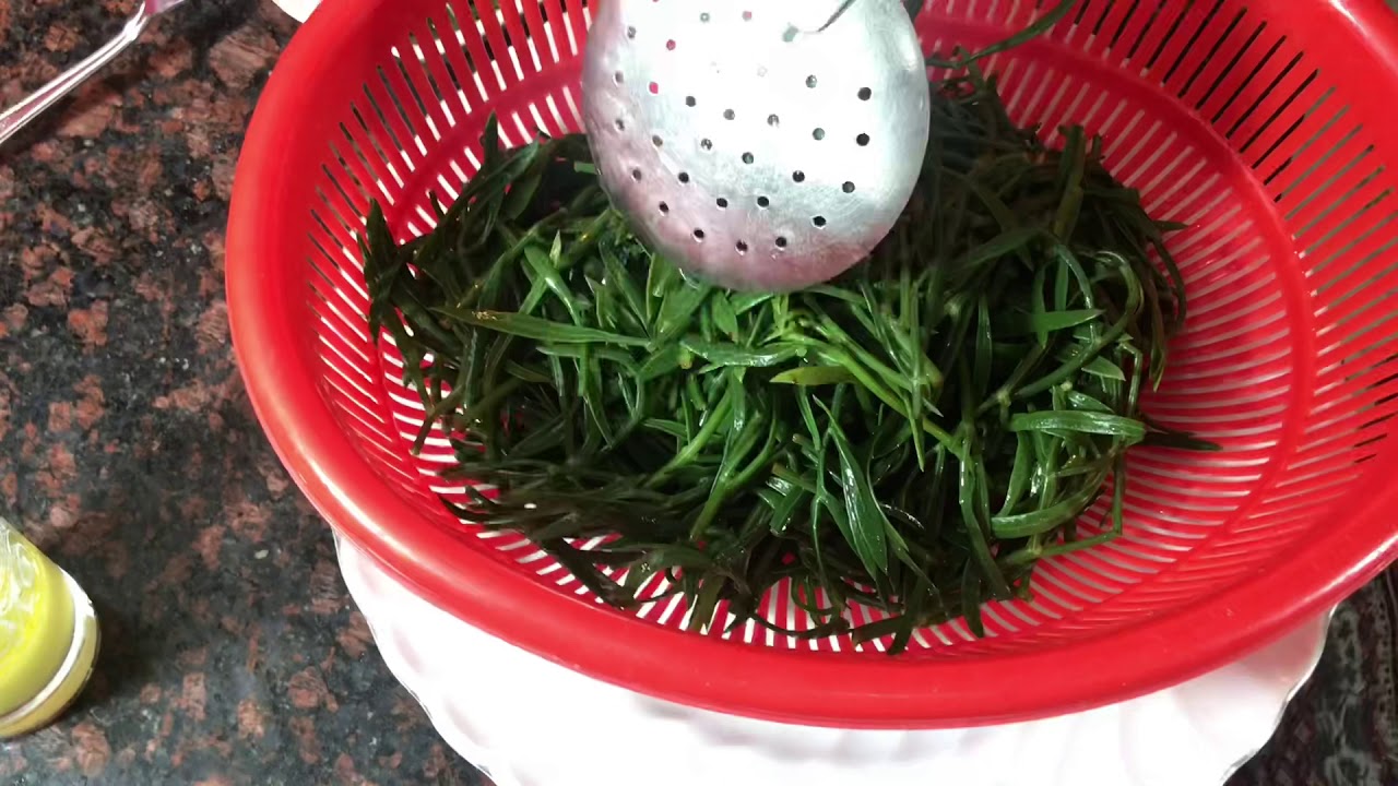 Kaya Koruğu Turşusu ve Salatası ? Tam Tarifi #CanliDogalhayat