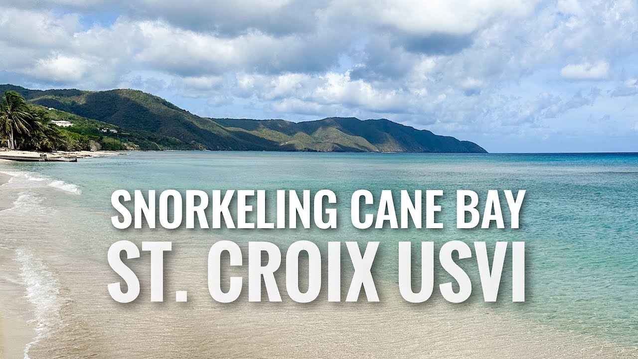 Snorkeling Cane Bay in ST. CROIX, USVI [4K]