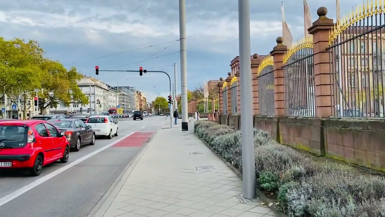 Gezici Kuşlar İçin Mannheim Üniversitesi
