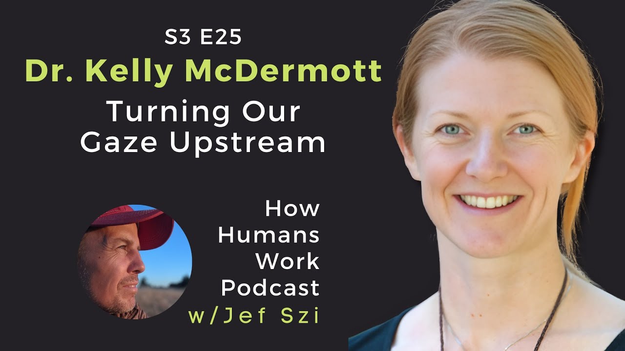 #25: Dr. Kelly McDermott (audio show)