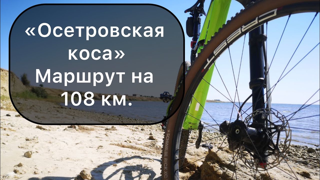Поездка на «Островскую косу» 31.07.25.