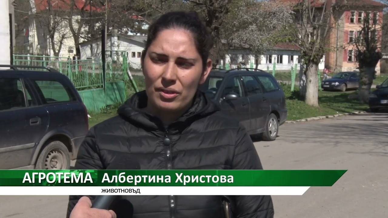 Агротема: Ще има ли фотоволтаици върху пасищата в Габаре?