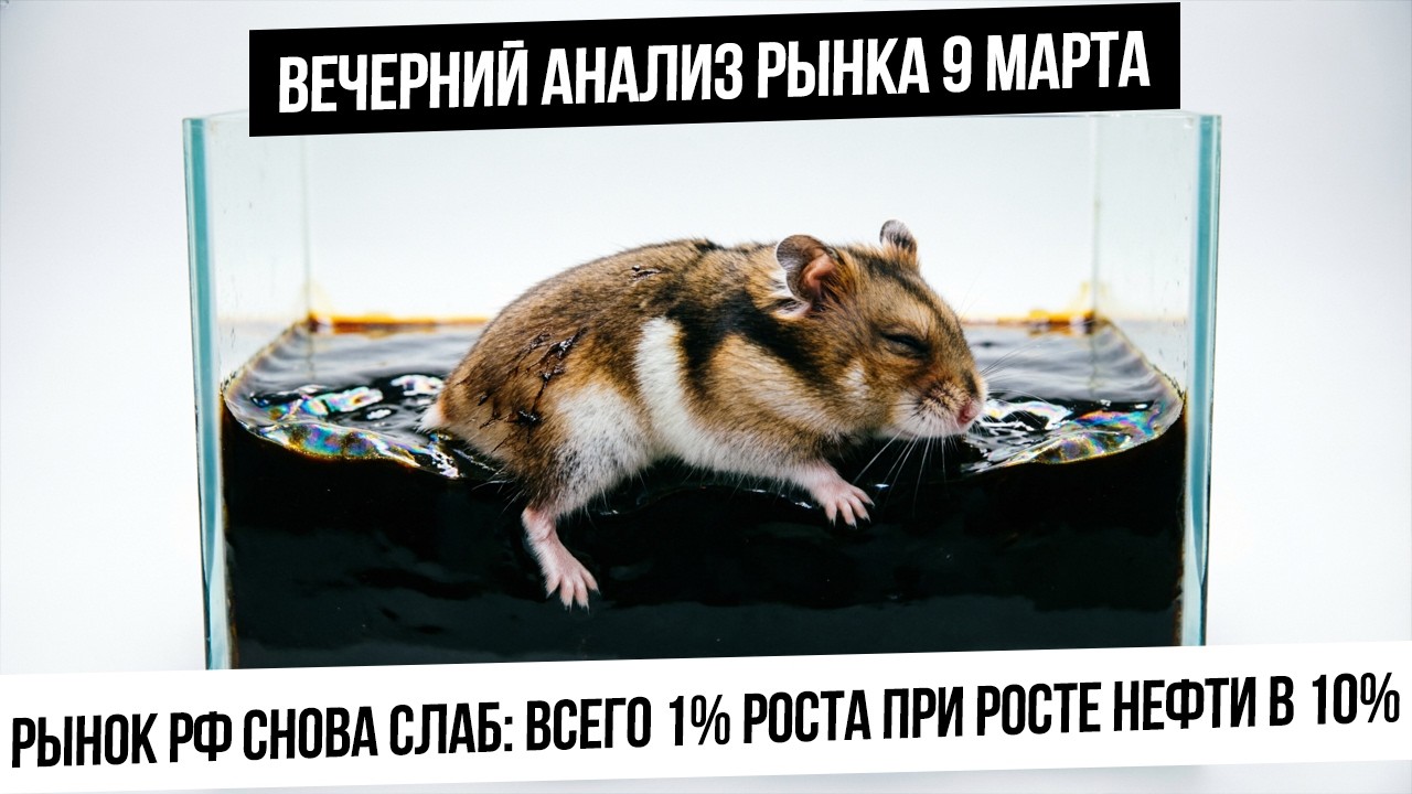 Вечерний анализ рынка 9 марта. Дикая нефть и спокойный индекс Мосбиржи! Когда коррекция? Какао!