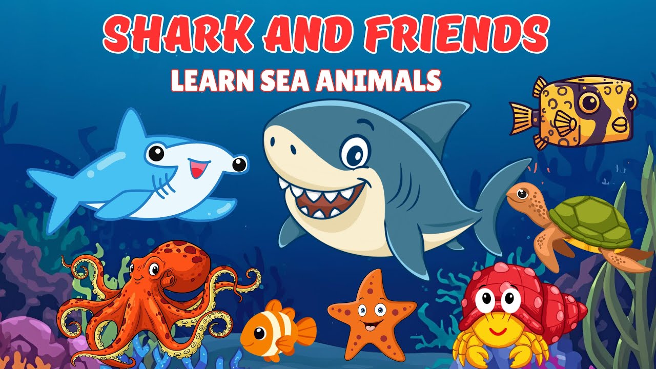 Акулы и их друзья 🦈 Изучаем морских животных