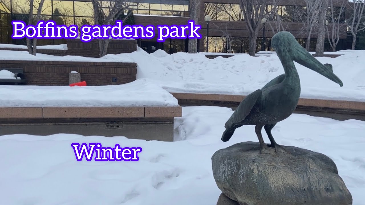 Boffins gardens park in winter| boffins gardens park.