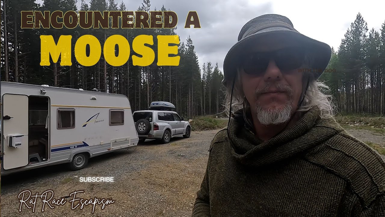 “A Giant Moose Appeared Out of Nowhere! | Wild Camping in Sweden”