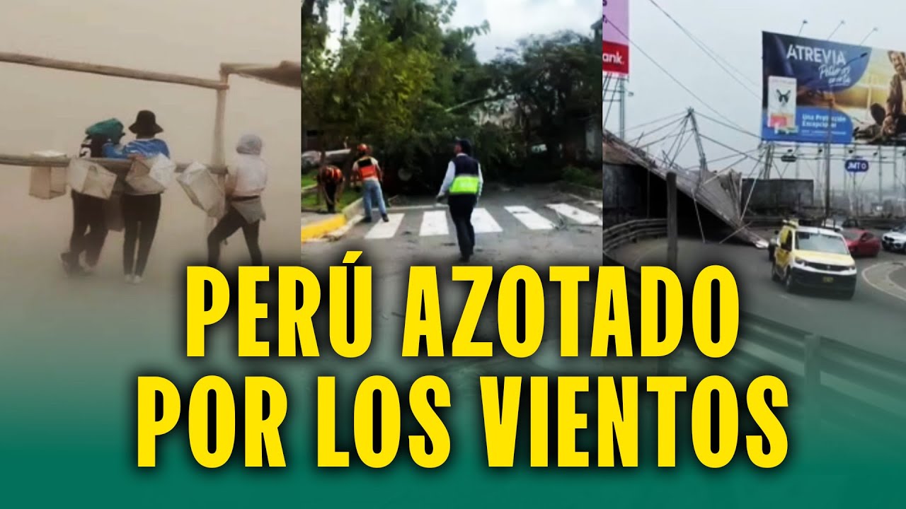 Casas afectadas, árboles caídos y más por fuertes vientos en Perú: Así se vivió en Ica y Lima