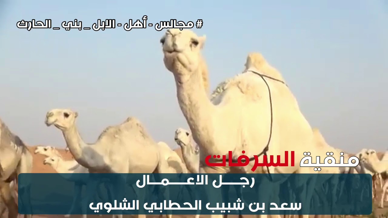 منقية ( السرفات ) رجـــــل الاعـــــمـــال سعد بن شبيب الحطابي الشلوي