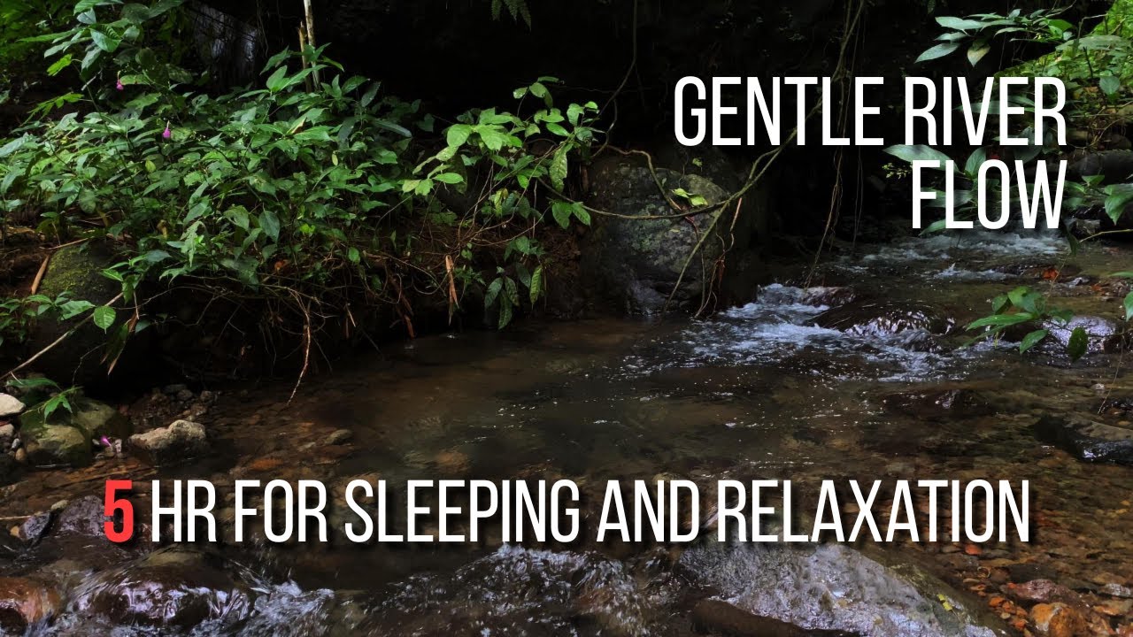 Gentle River Flow, Tranquil Forest Soundscape for Sleeping and Relaxation – 5 Hours
