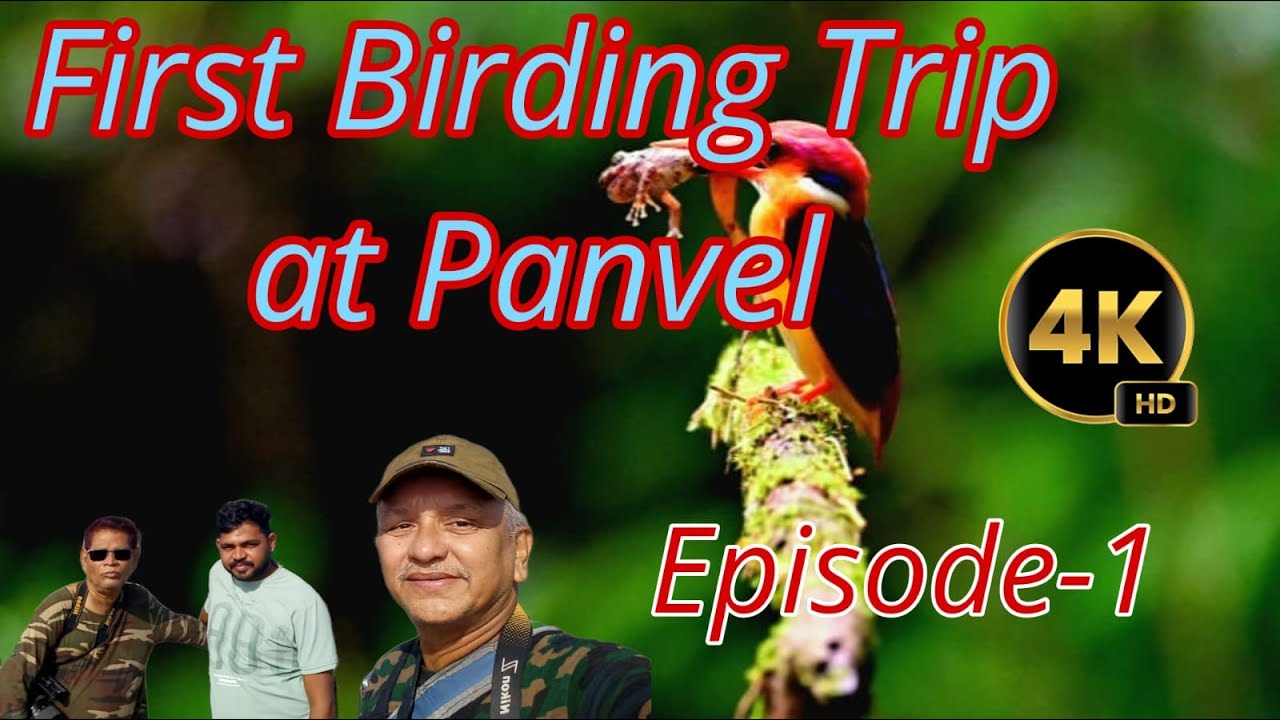 First Birding Trip to Panvel II Photography of ODKF, Episode-1
