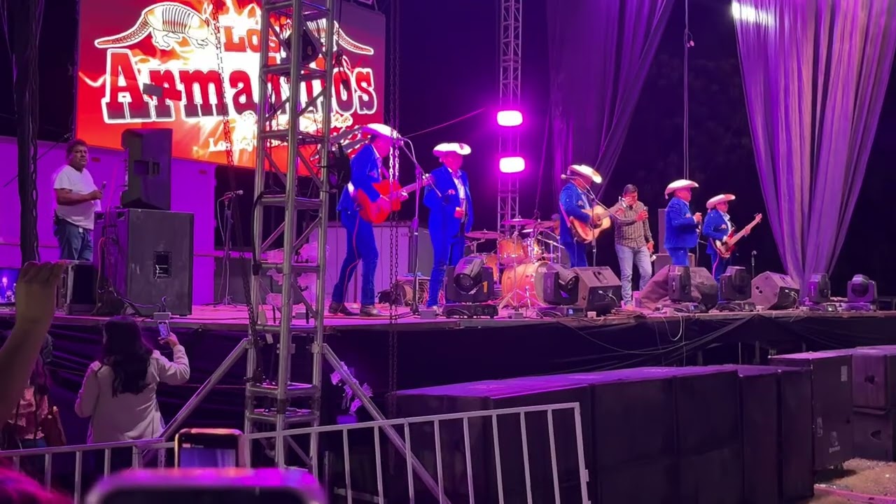 Los armadillos de la sierra en cocula guerrero 2025