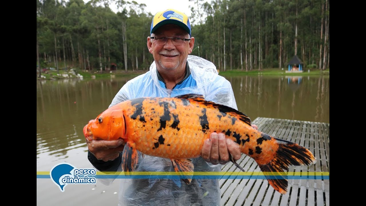 Pescarias de carpas e tilápias com molinete