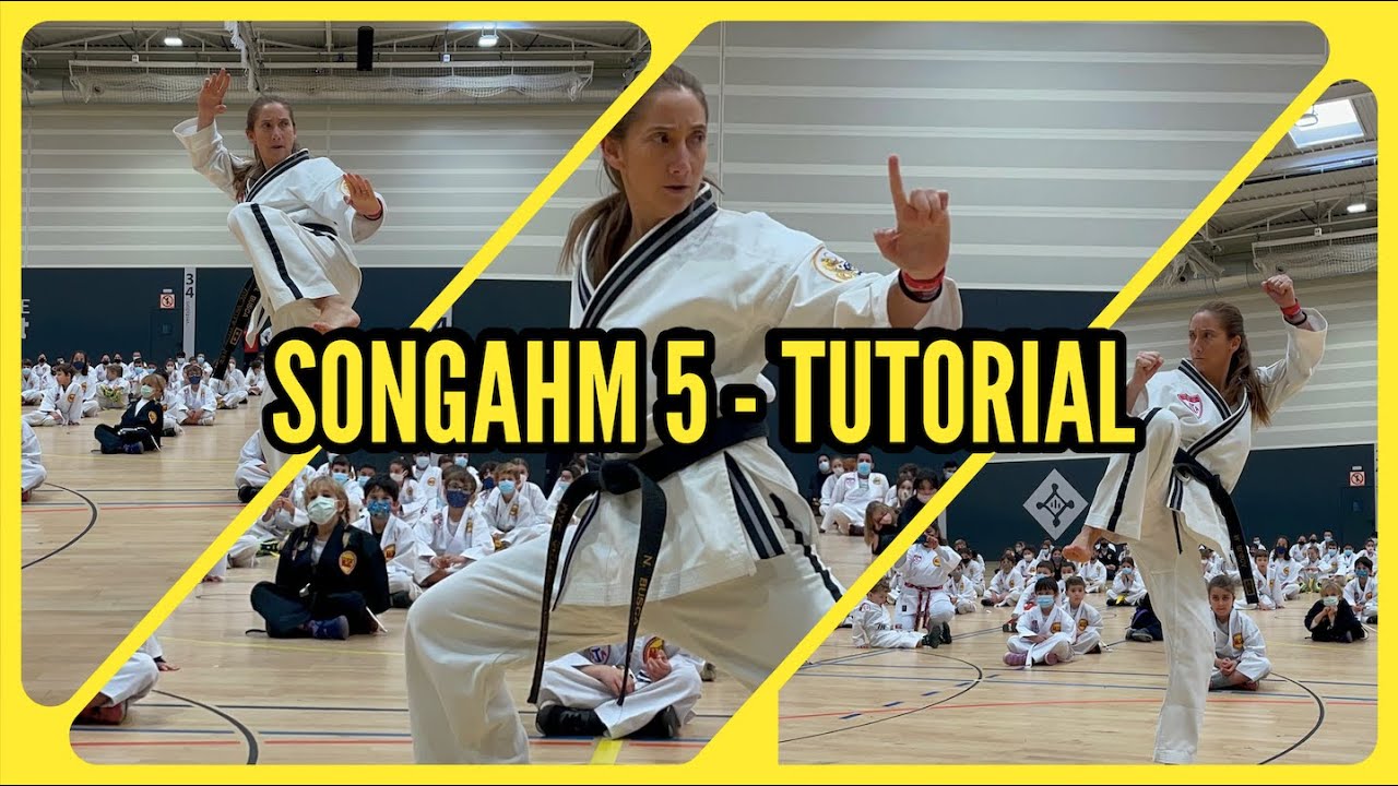 SONGAHM 5 - TUTORIAL