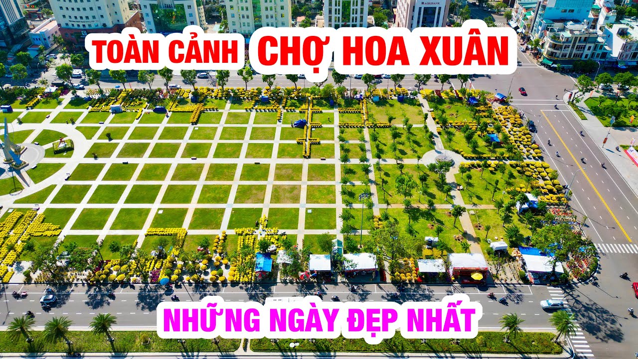 CHIỀU XUÂN QUY NHƠN | 25 TẾT
