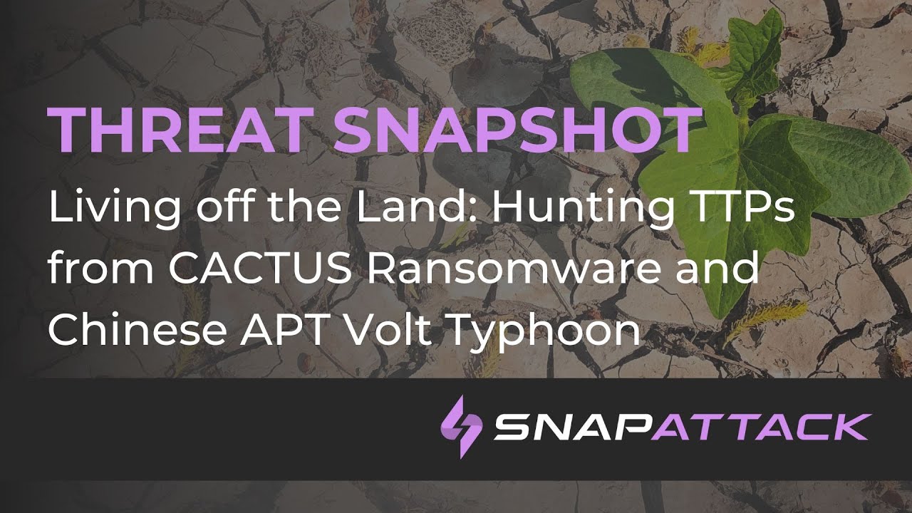 Living off the Land: Hunting TTPs from CACTUS Ransomware and Volt Typhoon | Threat SnapShot