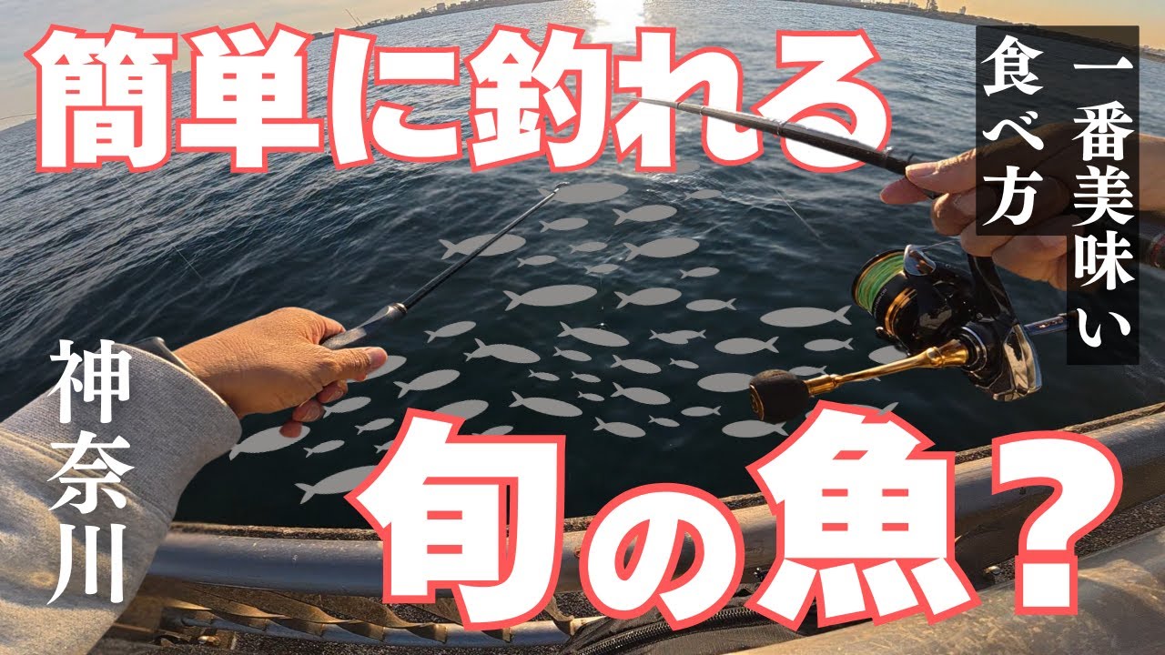 【今が旬】”東京湾の食料”を一番美味い食べ方で食べます