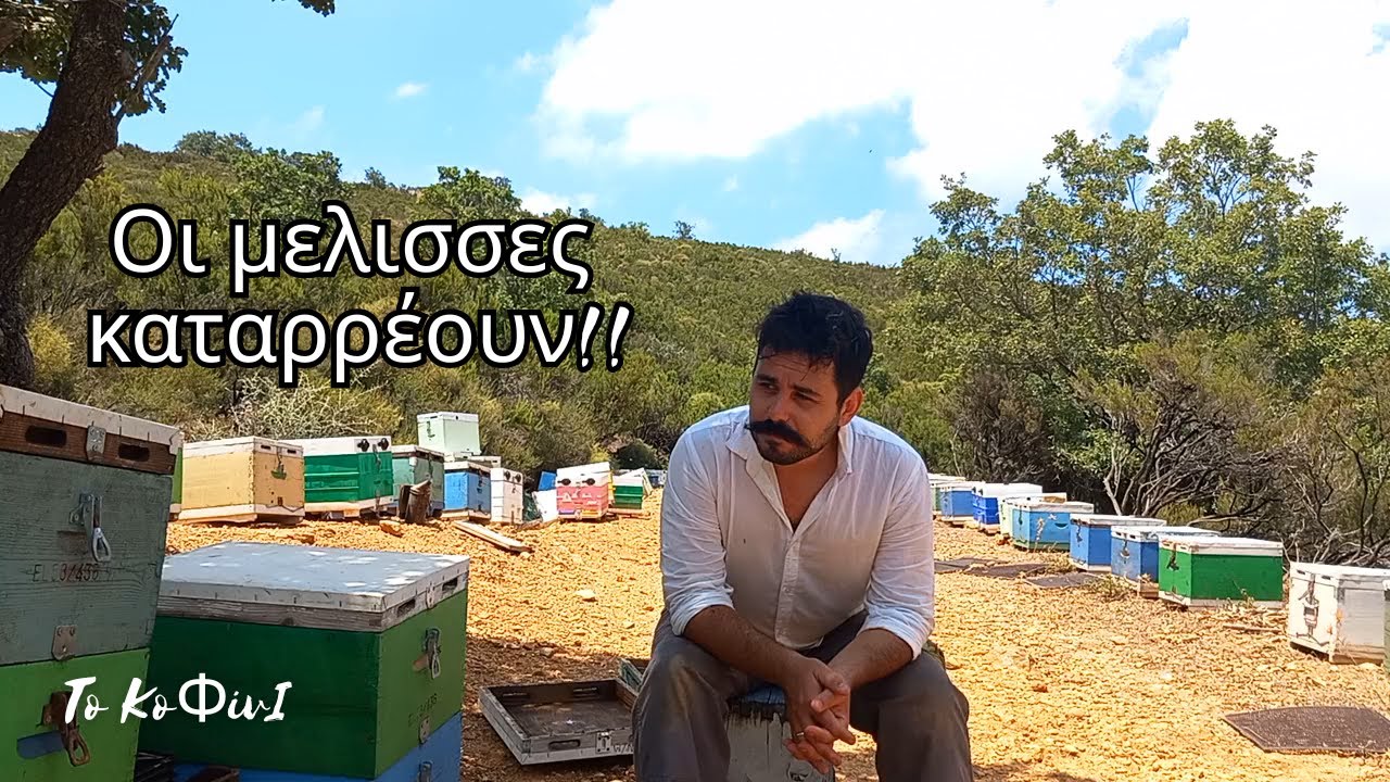 Μελίσσια υπό κατάρρευση!!! | Μελισσοκομία 2025 | Το ΚοΦίνΙ