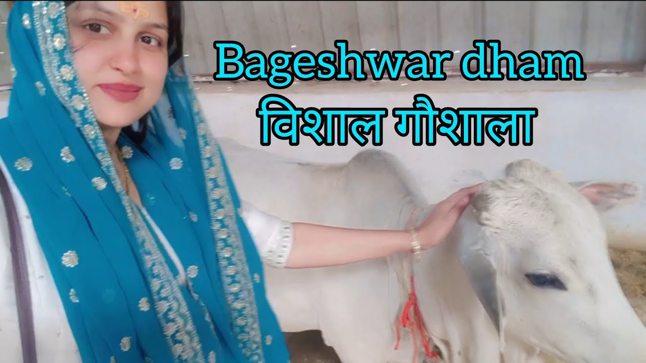 बागेश्वरधाम गौशाला 🩵🩵#bageshwarwalebaba #bageshwarji 