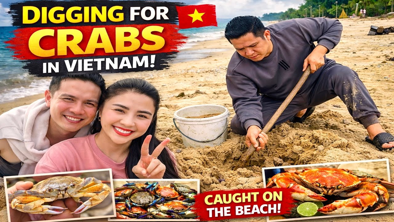 THẾ LÀ HẾT TẾT RỒI NHANH QUÁ KHAI XUÂN ĐI CHƠI BIỂN ĐÀO CÒNG KHÔNG BIẾT LÀ CON GÌ TÉ RA LÀ CON…